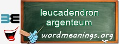 WordMeaning blackboard for leucadendron argenteum